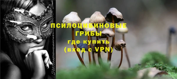 ГАЛЛЮЦИНОГЕННЫЕ ГРИБЫ Лагань