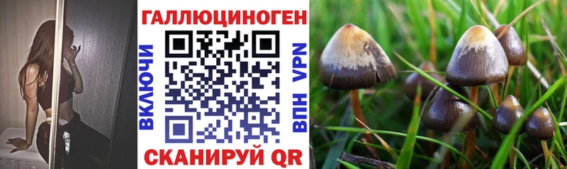 Галлюциногенные грибы прущие грибы купить сайты Пермь